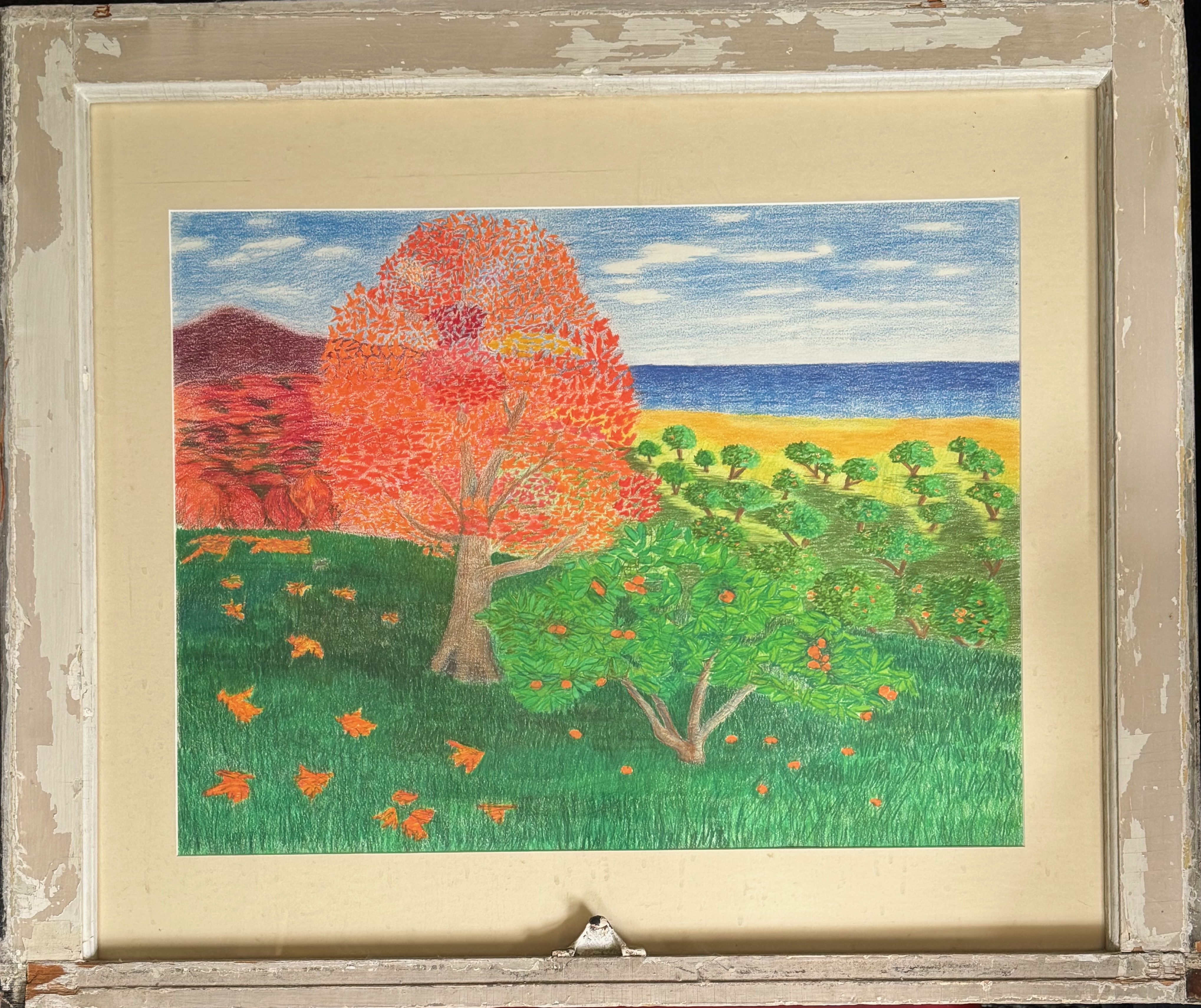 Orange Trees