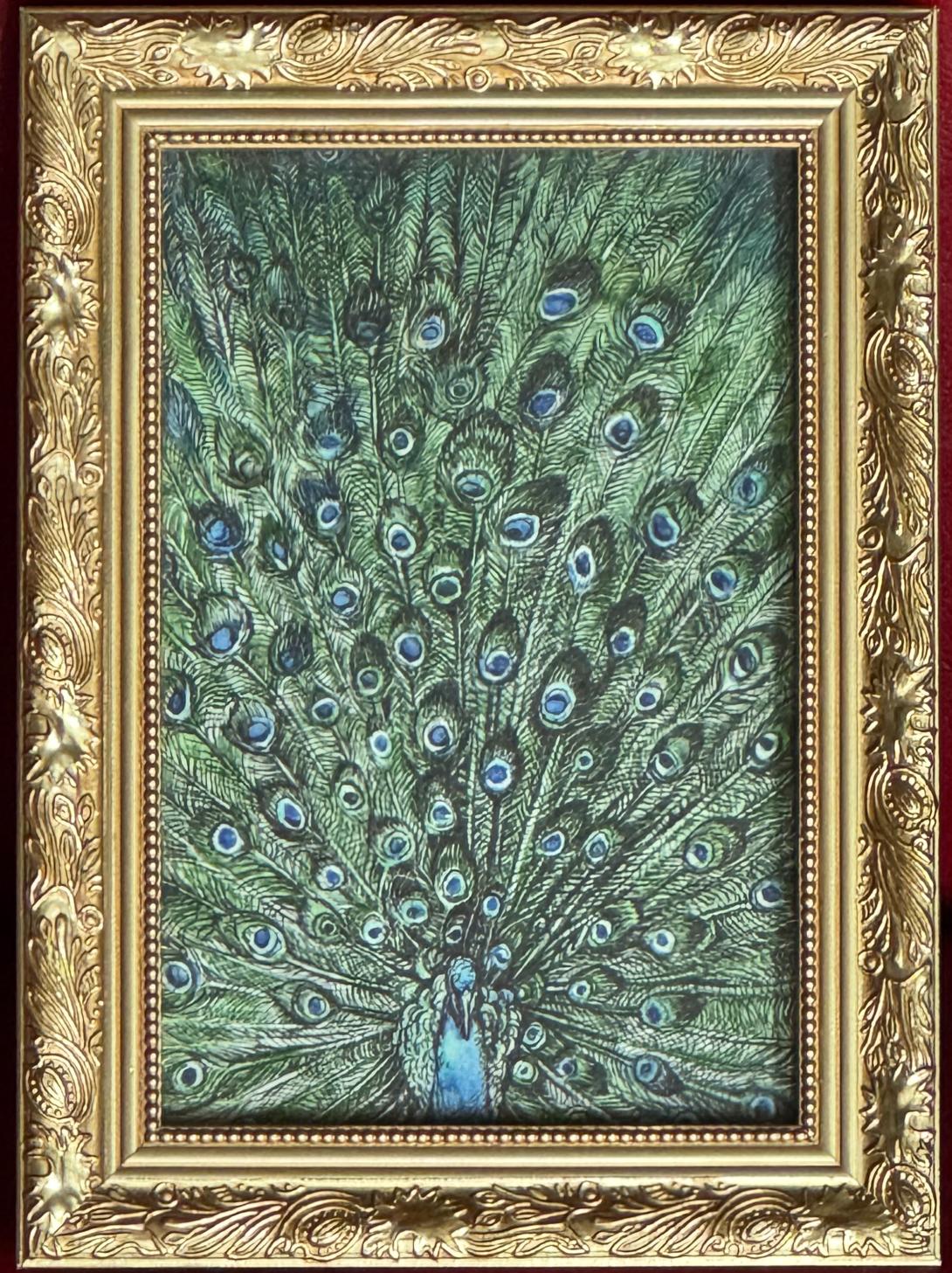 Peacock